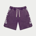 Courtside Shorts (Grape Wash)